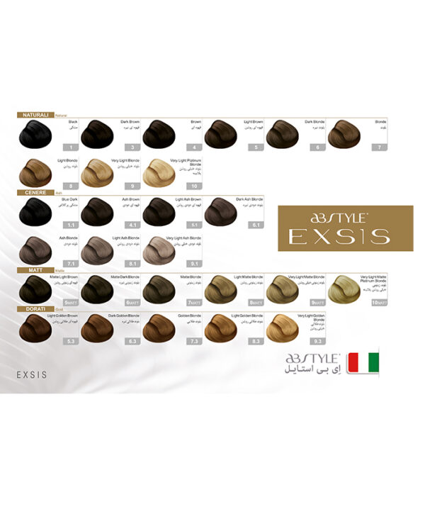 رنگ مو بدون آمونیاک طیف مسی اکسیس ای‌ بی‌ استایل رنگ بلوند مسی تیره شماره 6.4 - Image 3