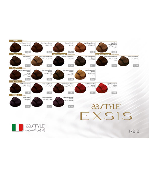 رنگ مو بدون آمونیاک طیف مسی اکسیس ای‌ بی‌ استایل رنگ بلوند مسی تیره شماره 6.4 - Image 4