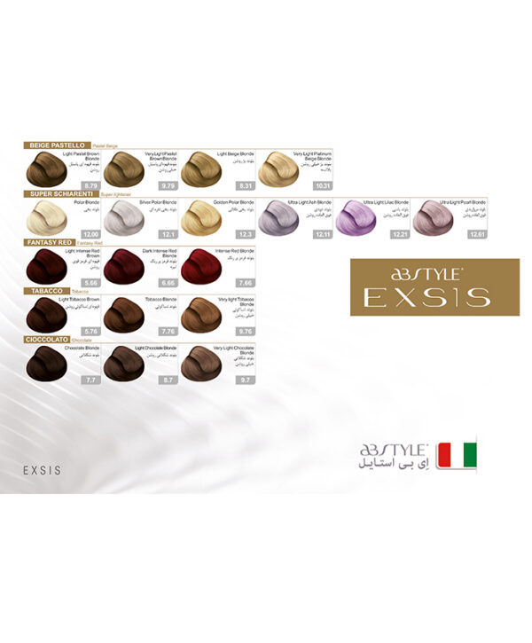 رنگ مو بدون آمونیاک طیف مسی اکسیس ای‌ بی‌ استایل رنگ بلوند مسی تیره شماره 6.4 - Image 5