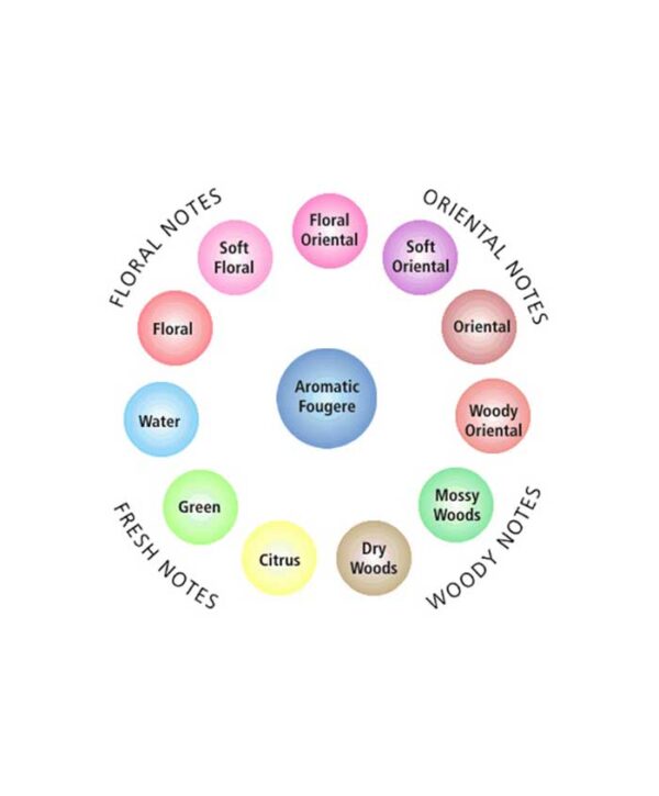 اسپری عطری زنانه فرش بوتانیس حجم 175 میلی‌ لیتر - Image 4