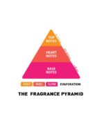 اسپری عطری زنانه فرش بوتانیس حجم 175 میلی‌ لیتر - Image 3